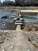 荒神橋近くの飛石の写真・動画_image_488187