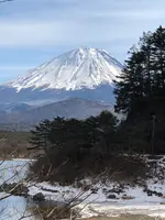 他手合浜の写真・動画_image_488781