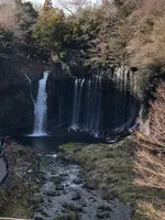 白糸の滝の写真・動画_image_488798