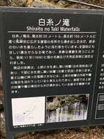 白糸の滝の写真・動画_image_488799