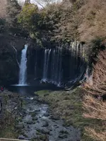 白糸の滝の写真・動画_image_488800