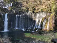 白糸の滝の写真・動画_image_488802