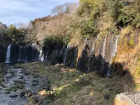 白糸の滝の写真・動画_image_488804
