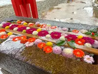 石浦神社の写真・動画_image_489585