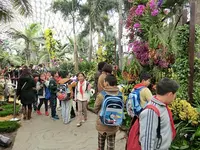 上海辰山植物園の写真・動画_image_491205