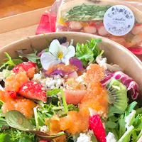 ＋midoriの写真・動画_image_493336