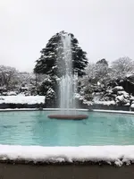 箱根強羅公園の写真・動画_image_494369