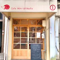 Cafe Igel/あかいはりねずみの写真・動画_image_494793