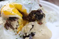 Little Pika'sの写真・動画_image_496050