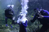 Under Water World（アンダーウォーターワールド）の写真・動画_image_496056