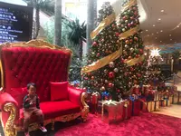 Sheraton Grand Macao Hotel, Cotai Centralの写真・動画_image_499928