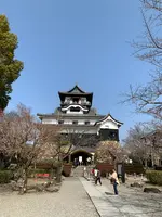 犬山城の写真・動画_image_500667