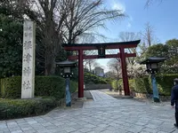 根津神社の写真・動画_image_501048