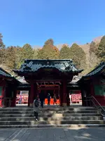 箱根神社の写真・動画_image_501114