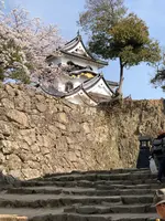 彦根城の写真・動画_image_507317
