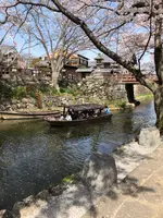 八幡堀の写真・動画_image_507410