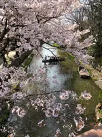 八幡堀の写真・動画_image_507411
