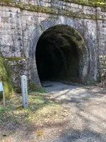 小刀根トンネルの写真・動画_image_507884