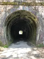 小刀根トンネルの写真・動画_image_507888