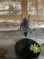 琴似神社の写真・動画_image_508487