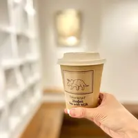 linden tea with milkの写真・動画_image_512568