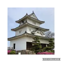 丸亀城の写真・動画_image_513149