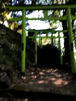足利織姫神社 七色の鳥居の写真・動画_image_513332