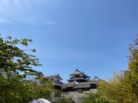 松山城の写真・動画_image_513894