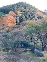 高山寺の写真・動画_image_517440