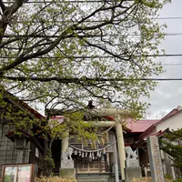岩内 金刀比羅神社の写真・動画_image_518126