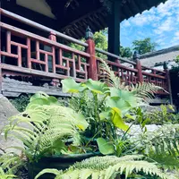 聖福寺の写真・動画_image_518703