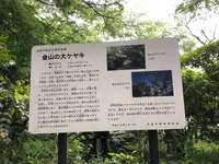 新田神社(太田市)の写真・動画_image_518794