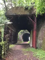 琴平トンネルの写真・動画_image_518932