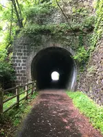 琴平トンネルの写真・動画_image_518934