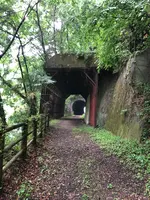 琴平トンネルの写真・動画_image_518937