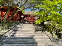 談山神社の写真・動画_image_520464