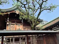 今宮戎神社の写真・動画_image_522963