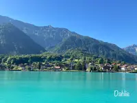 ブリエンツ湖の写真・動画_image_525208