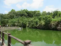 樟树步道, Wenshan Districtの写真・動画_image_525474