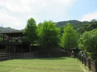 樟树步道, Wenshan Districtの写真・動画_image_525475