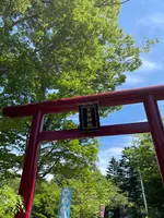 多賀神社の写真・動画_image_526691