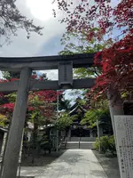彌彦神社の写真・動画_image_526699