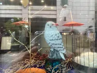 ハリー・ポッター マホウドコロの写真・動画_image_527496