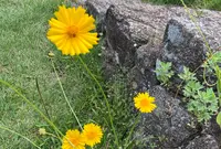 大平公園の写真・動画_image_527571