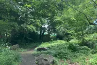 大平公園の写真・動画_image_527575