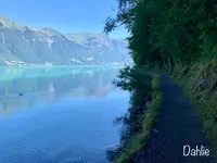 ウーファーヴェーク・イゼルトヴァルトの写真・動画_image_528186