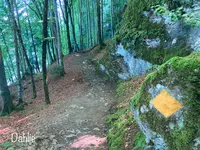 ウーファーヴェーク・イゼルトヴァルトの写真・動画_image_528190