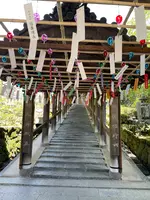 長谷寺の写真・動画_image_533598