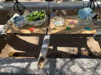 長谷寺の写真・動画_image_533600