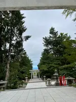 住吉神社の写真・動画_image_533998